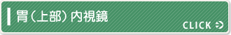 胃(上部)内視鏡