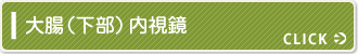 大腸(下部)内視鏡