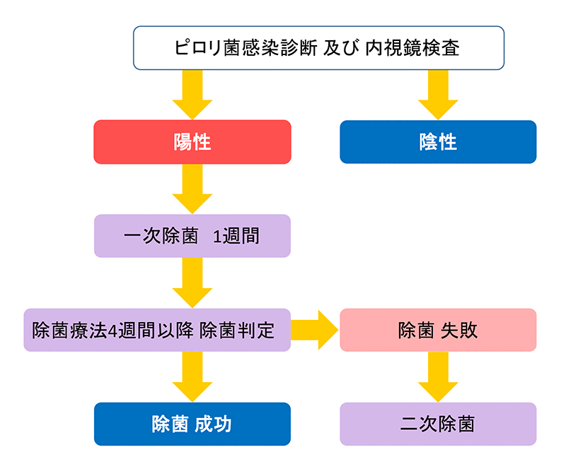 ピロリ菌検査・除菌