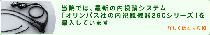 大腸カメラ検査（下部内視鏡検査）